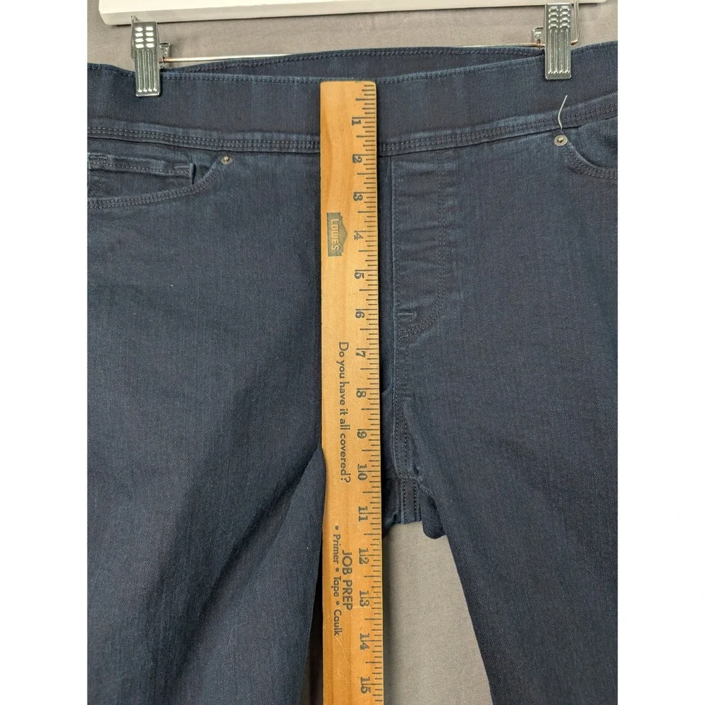 Levis levis 311